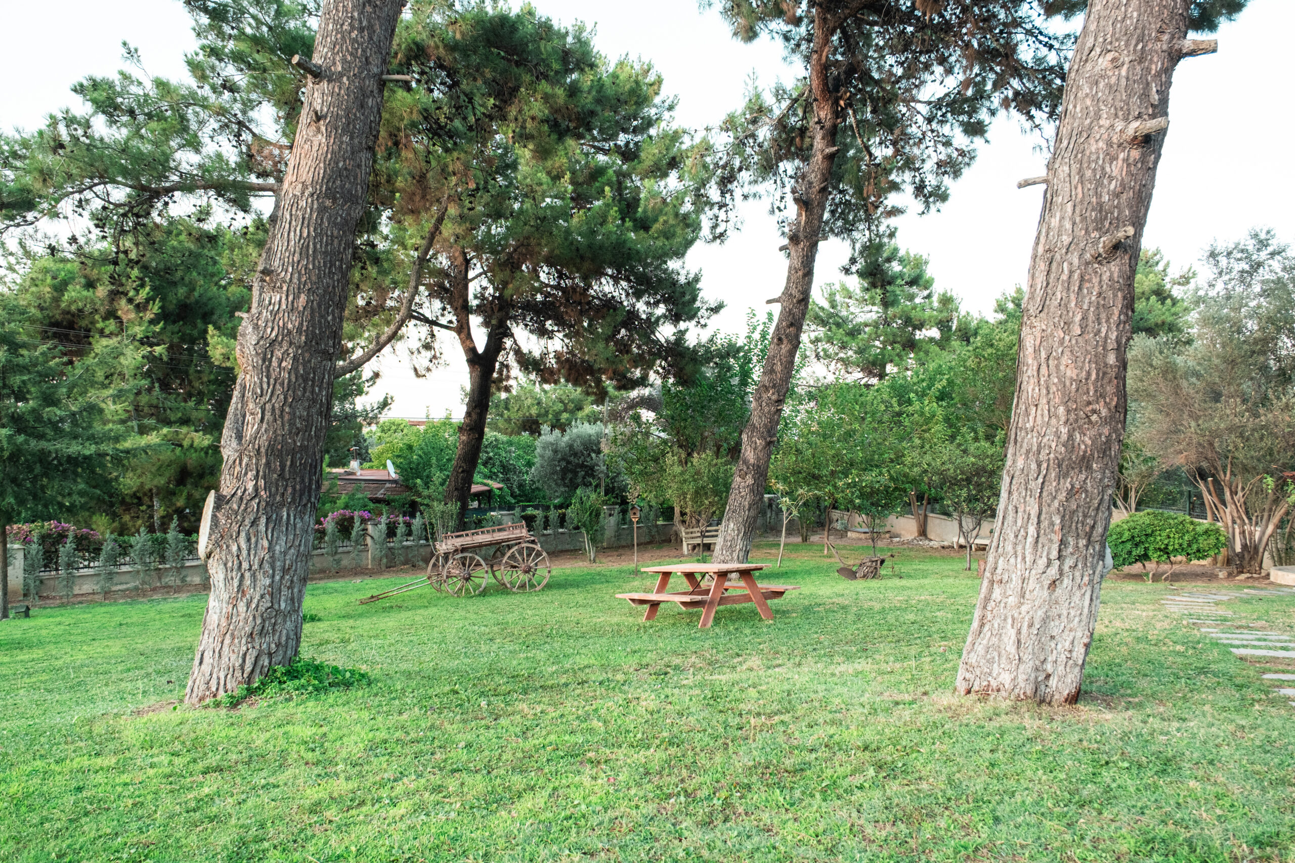 Bahçe & Doğa Alanı