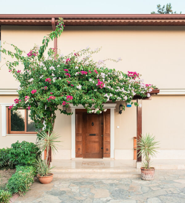 Urla’nın Gastronomi Rotaları: Villanille’de Konaklarken Keşfetmeniz Gereken Lezzetler